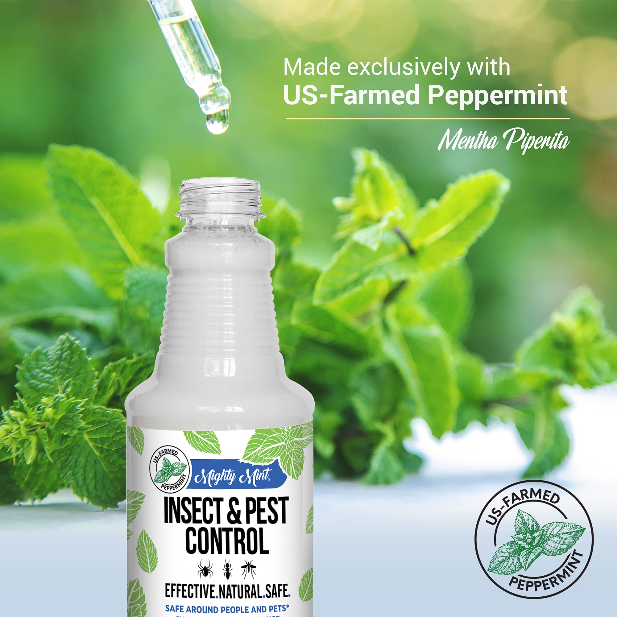 Spray de Menta Potente 16 oz para Insectos y Plagas, con Aceite de ...