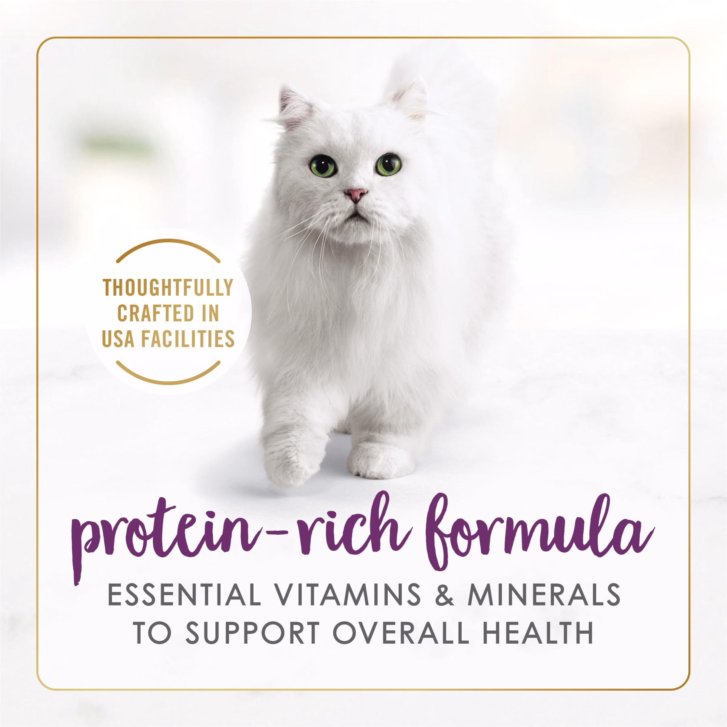 Comida húmeda para gatos mayores Purina Fancy Feast Beef Pate - (24 latas de 3 oz.)
