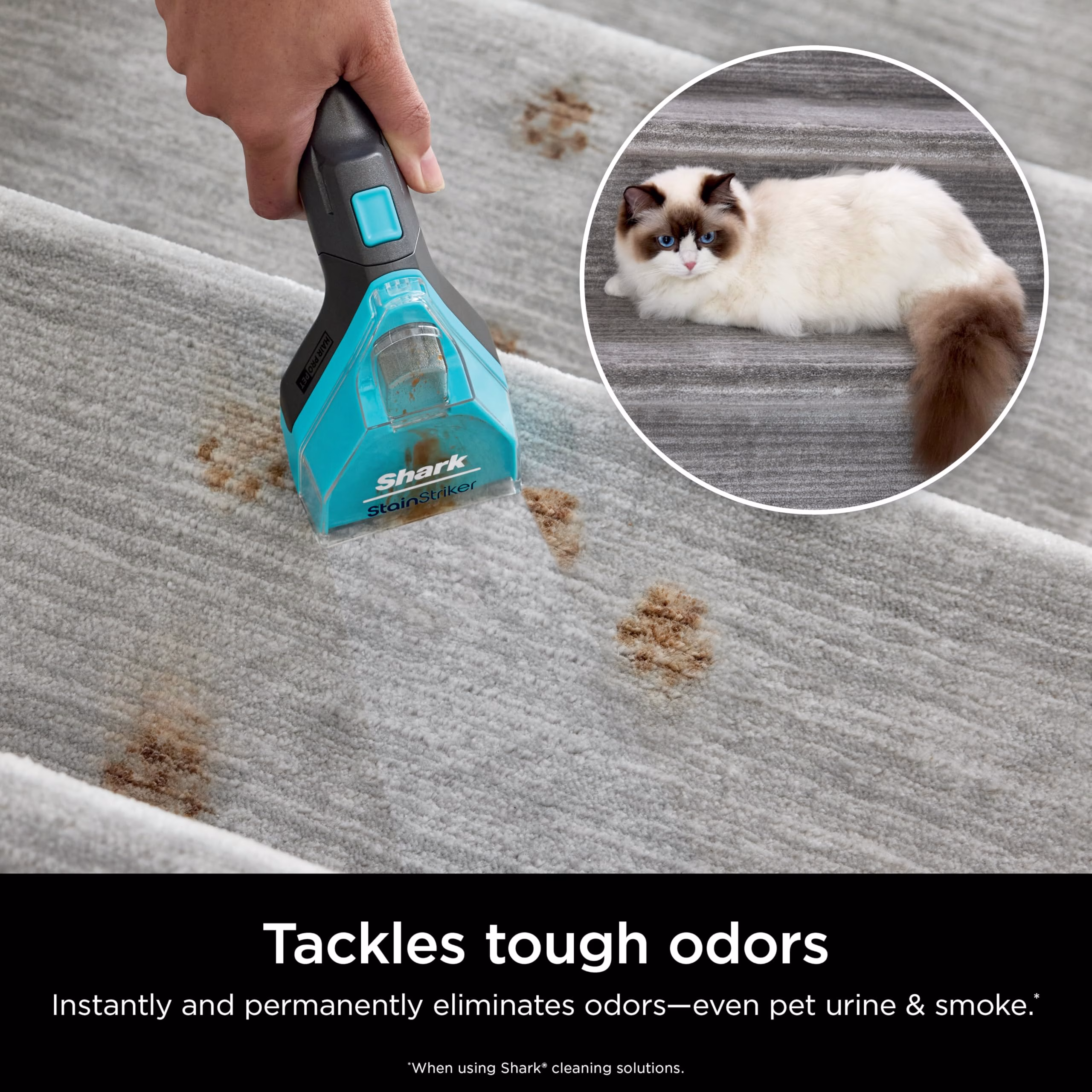 Kit Shark StainStriker para Alfombras
