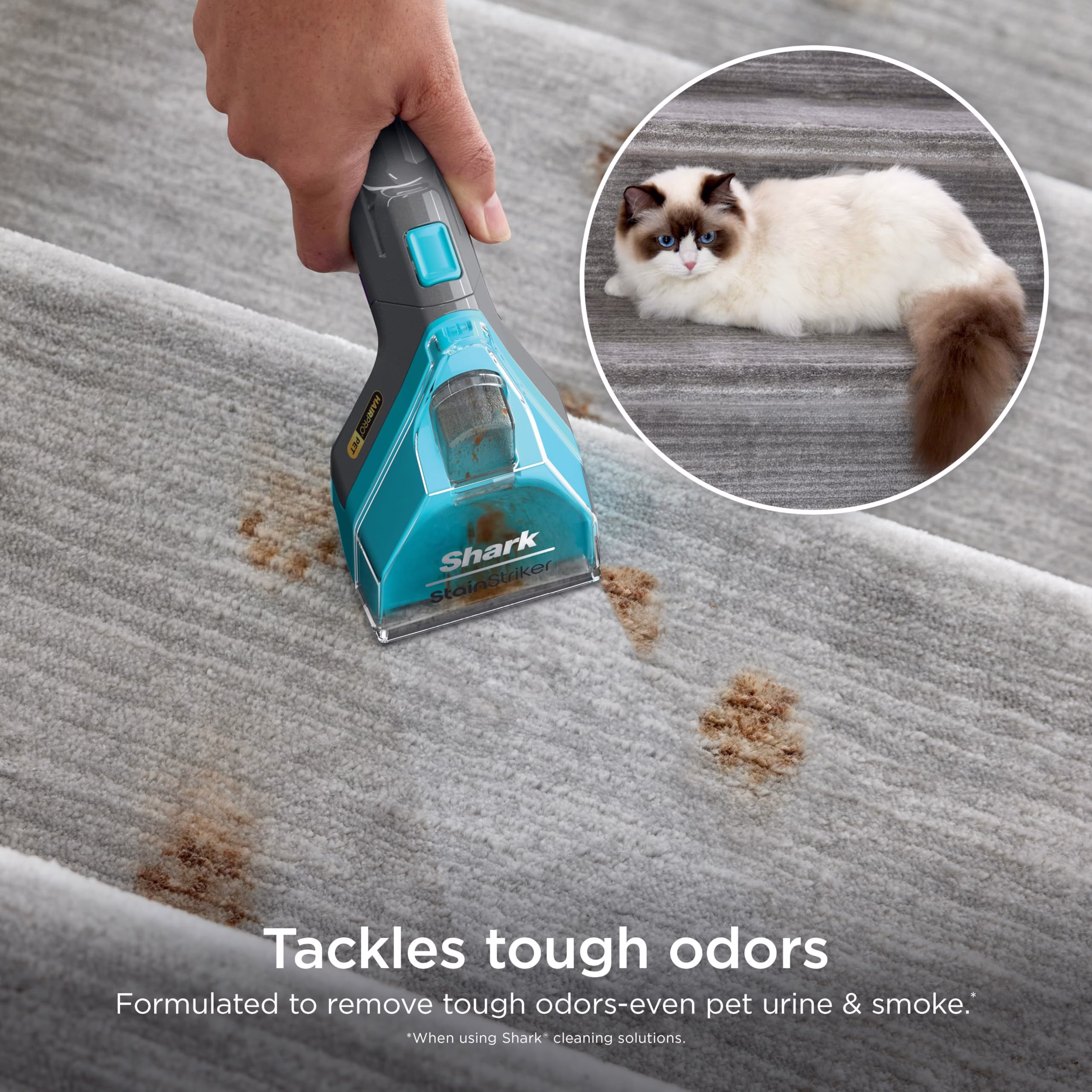 Fórmula Shark con Deep Clean Ultra y StainGuardian